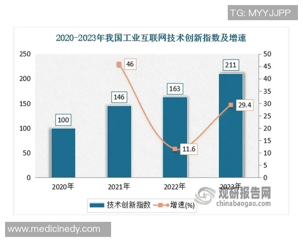 探索HongQ冰鸟输出的创新技术与市场前景分析 探索HongQ冰鸟输出的创新技术与市场前景分析